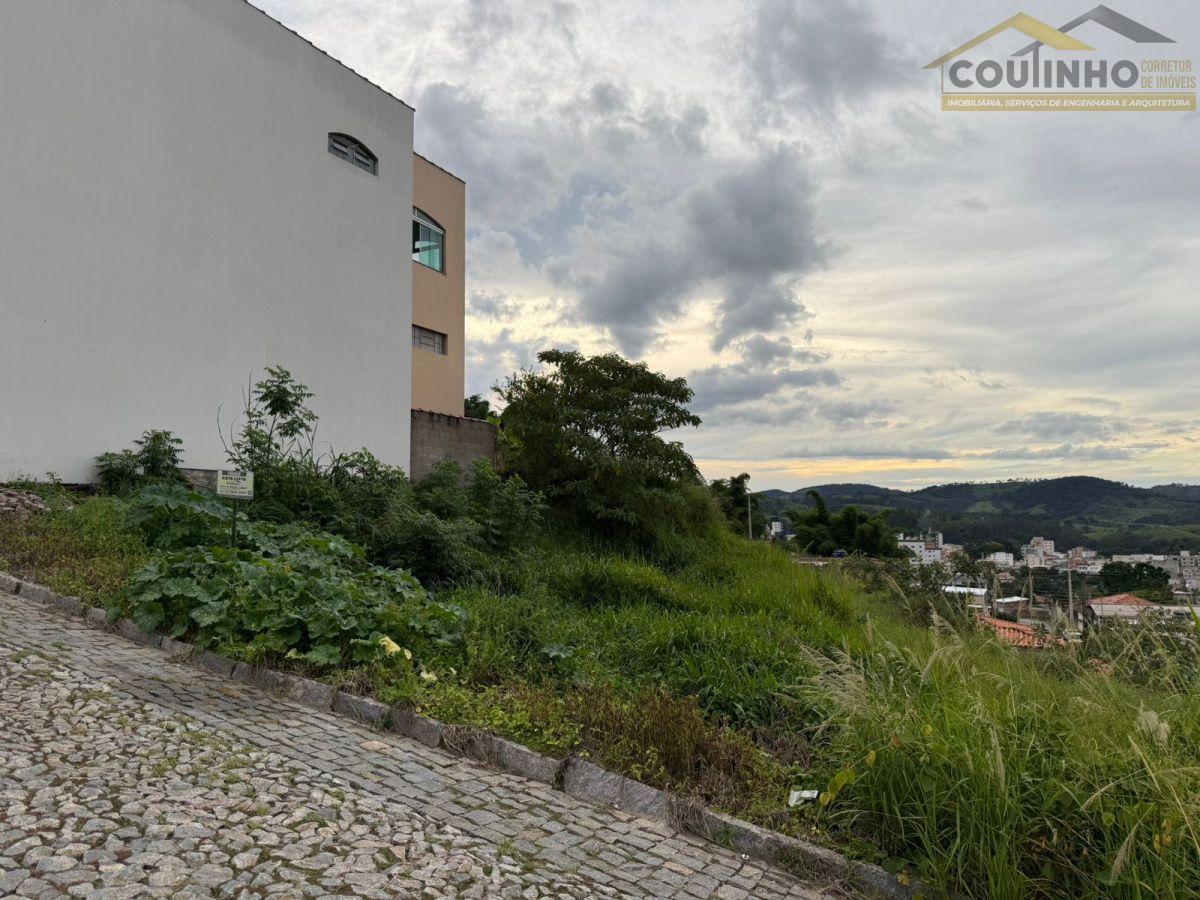 WhatsApp Image 2026-02-08 at 15.48.05.jpeg